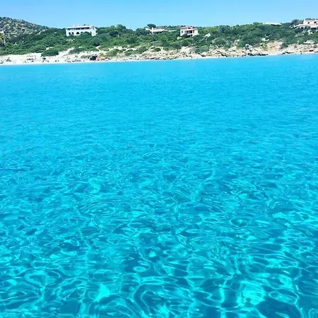 Panorama *